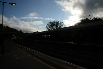 DSC_2691 (Large).JPG